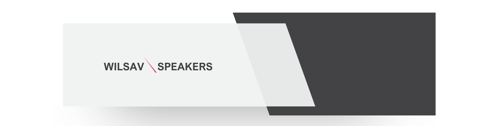 web banner wilsav speakers hero template