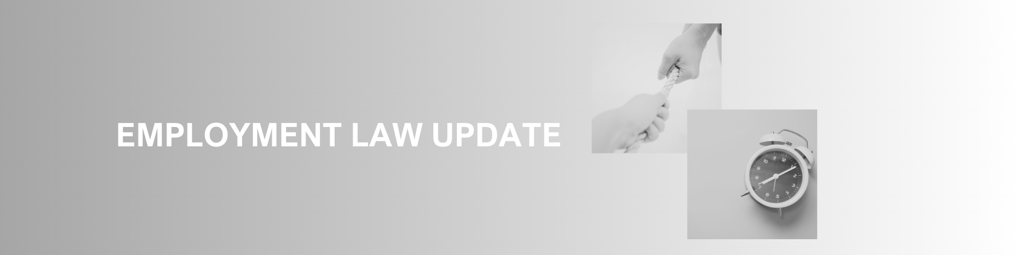 web banner employment law update spring 2024