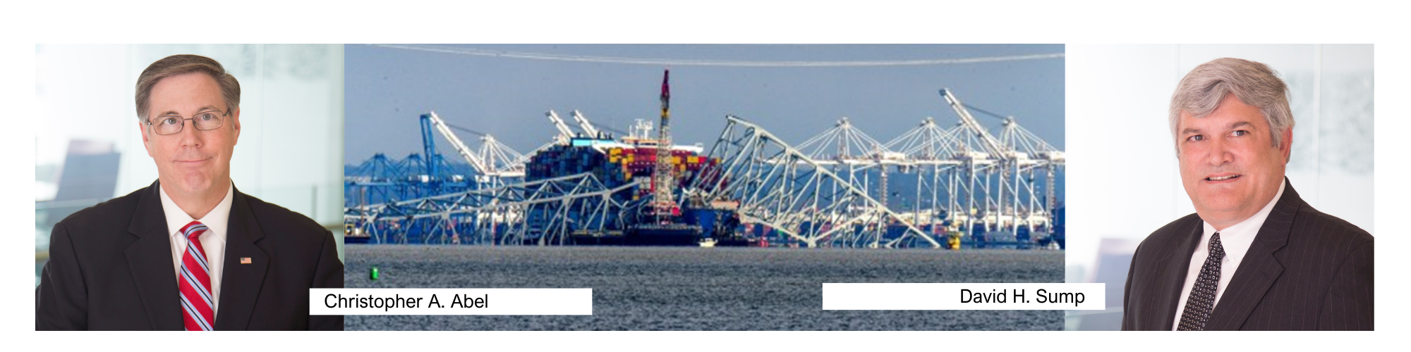 web banner virginian pilot feature on dali abel and sump 0709204