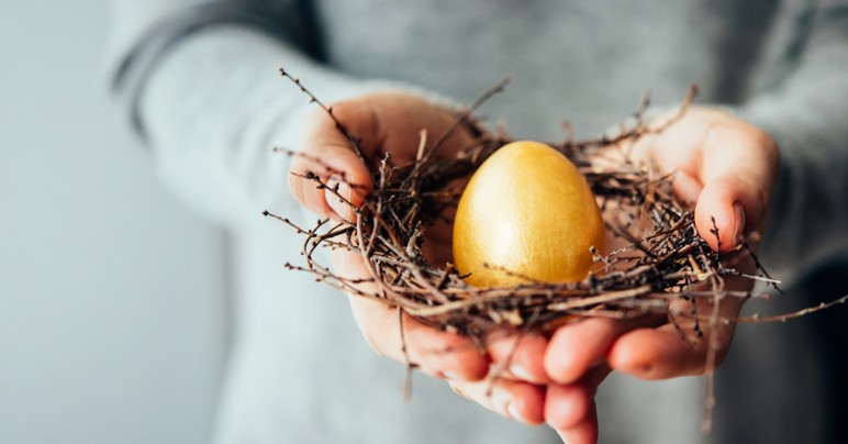 Nest Egg